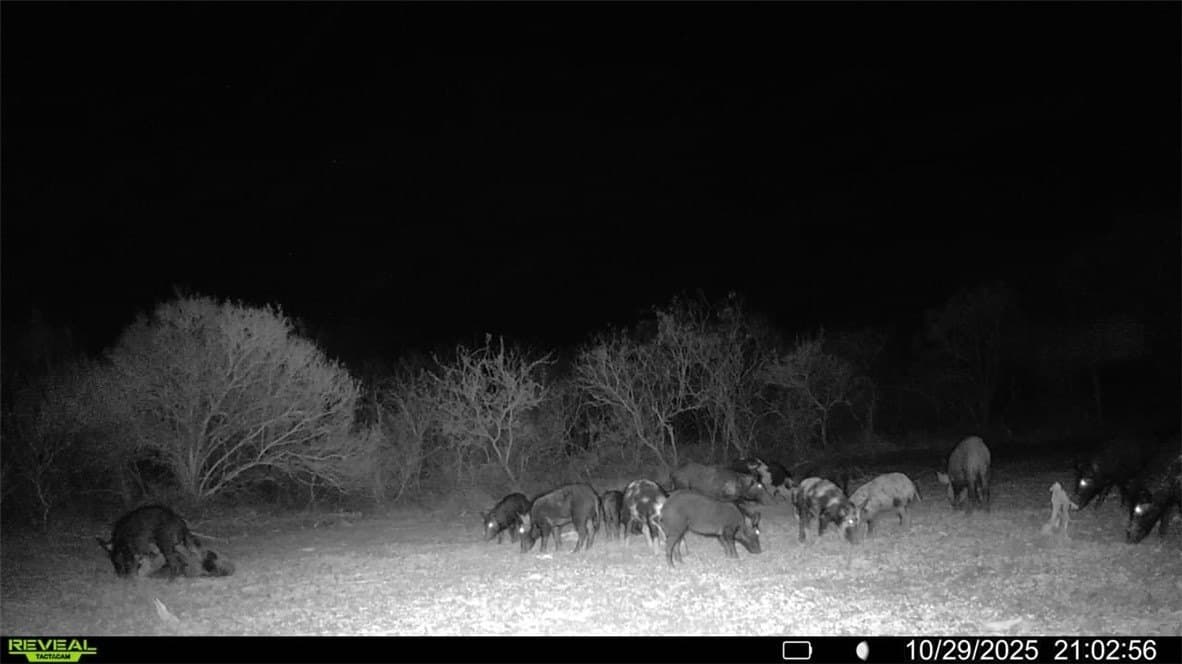 22.81 acres in Wilson County - photo 27