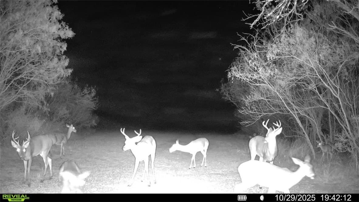 22.81 acres in Wilson County - photo 18
