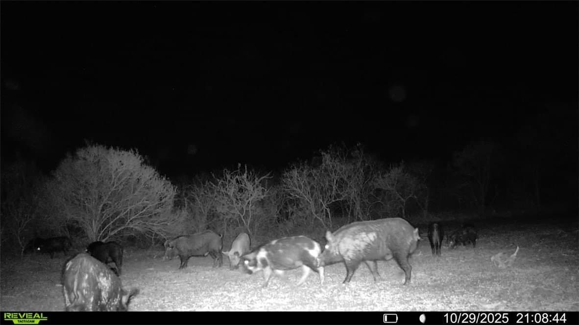 22.81 acres in Wilson County - photo 10