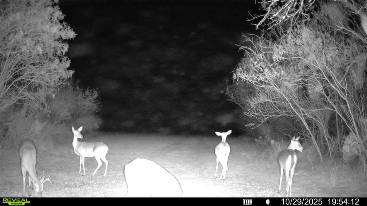 22.81 acres in Wilson County - photo 33