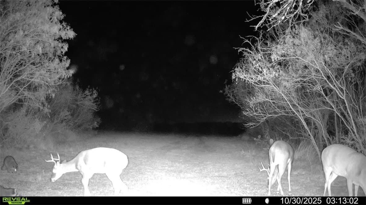 22.81 acres in Wilson County - photo 12
