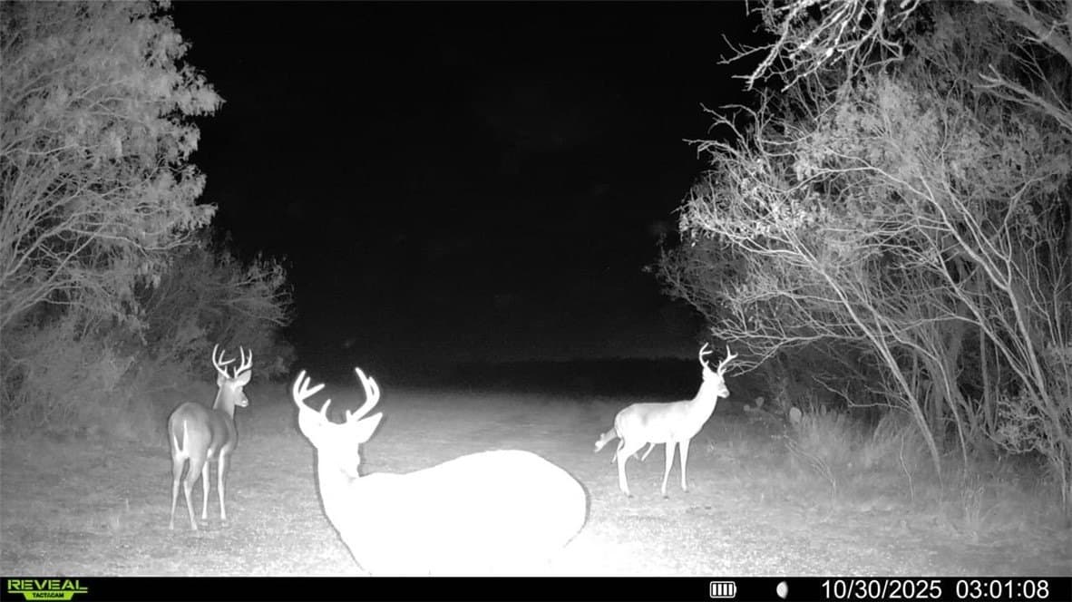 22.81 acres in Wilson County - photo 2