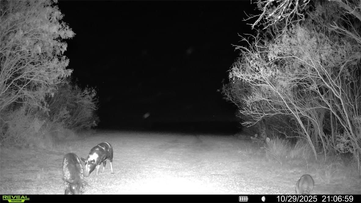 22.81 acres in Wilson County - photo 35