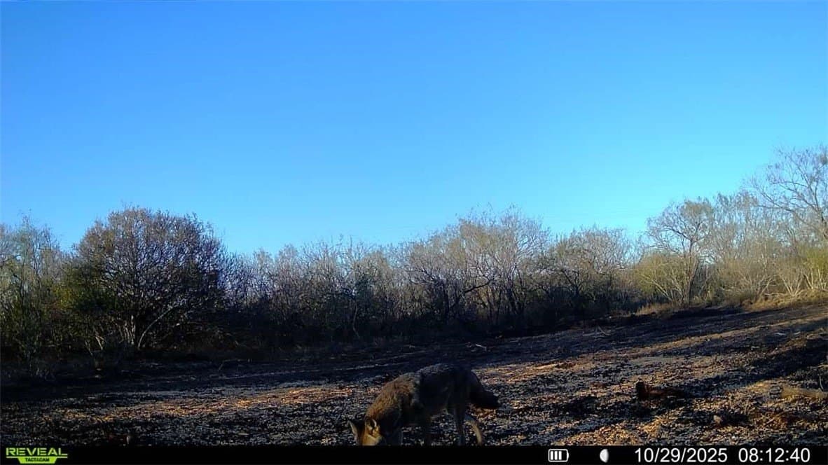 22.81 acres in Wilson County - photo 37