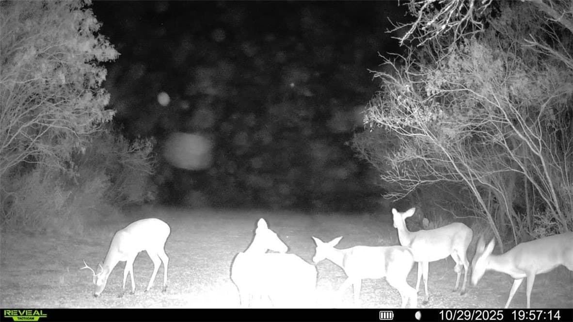 22.81 acres in Wilson County - photo 14