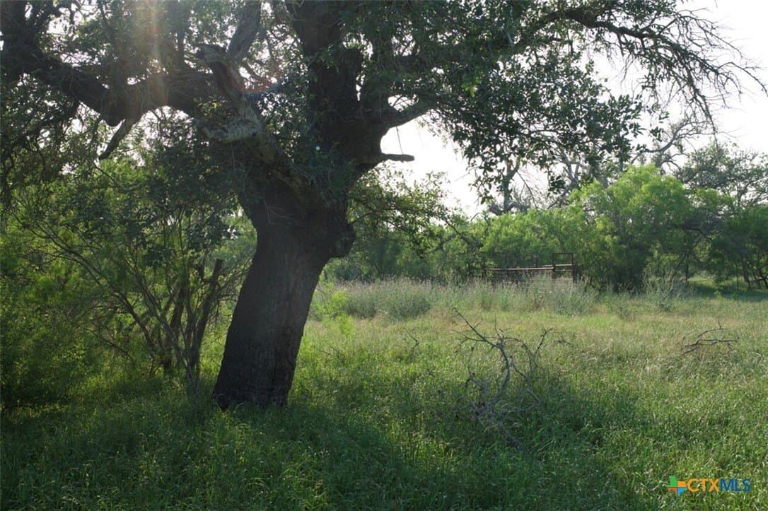 313 acres in Caldwell County - photo 2