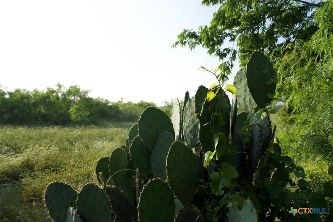 313 acres in Caldwell County - photo 11
