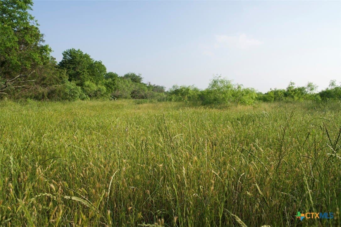 313 acres in Caldwell County - photo 13