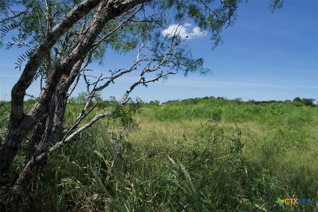 313 acres in Caldwell County - photo 22