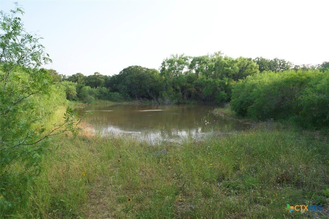 313 acres in Caldwell County - photo 17