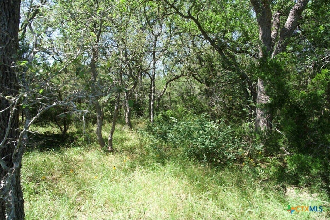 313 acres in Caldwell County - photo 25