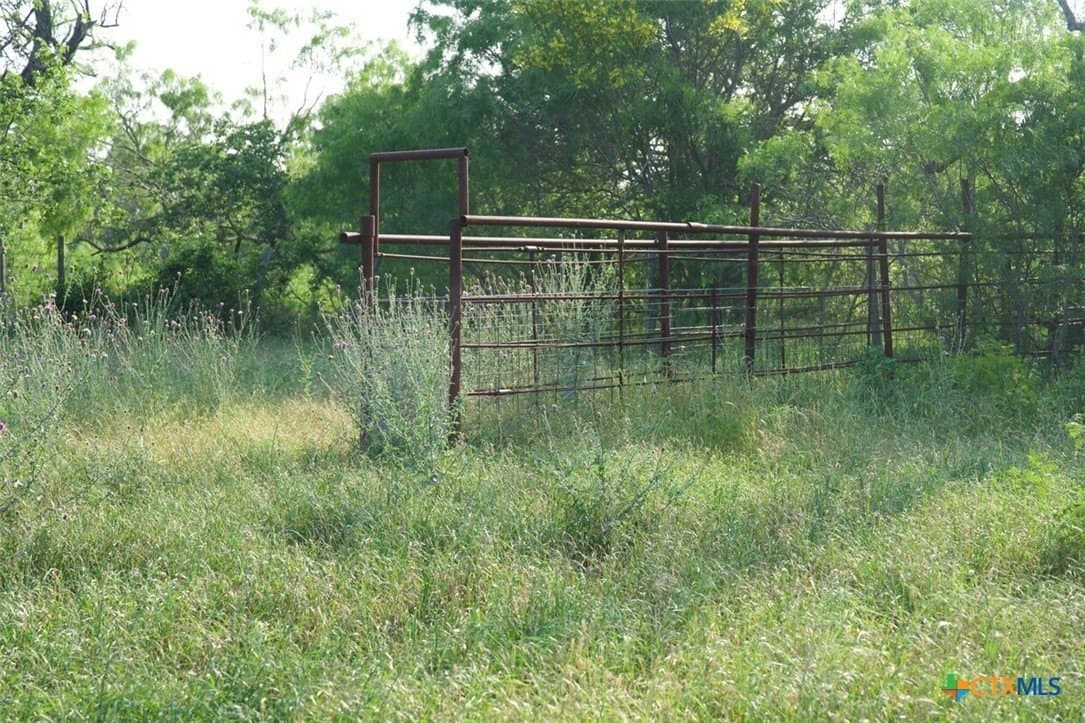 313 acres in Caldwell County - photo 5