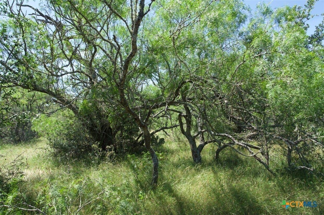 313 acres in Caldwell County - photo 24