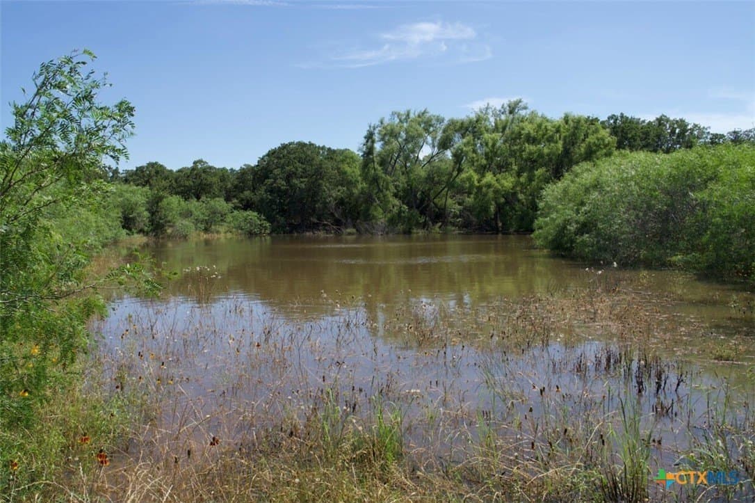 313 acres in Caldwell County - photo 19