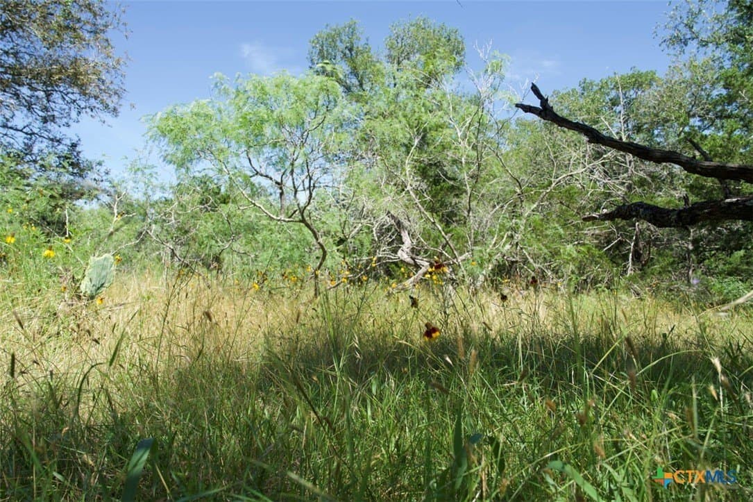 313 acres in Caldwell County - photo 27
