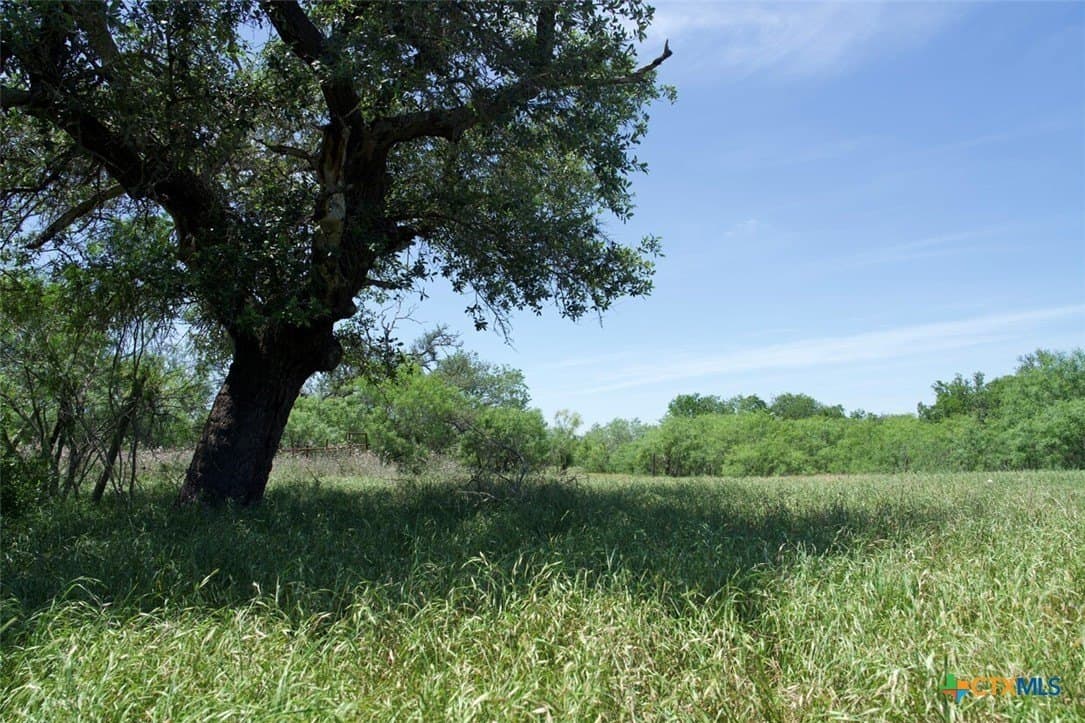 313 acres in Caldwell County - photo 20