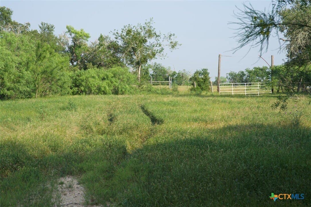 313 acres in Caldwell County - photo 10