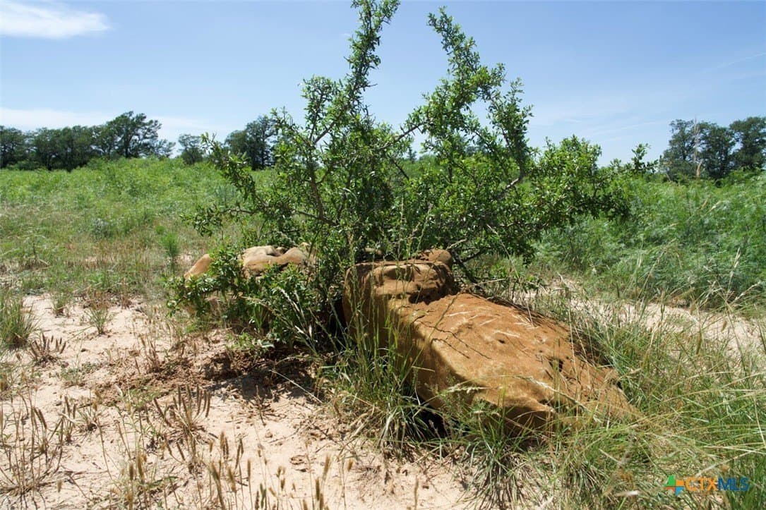 313 acres in Caldwell County - photo 21