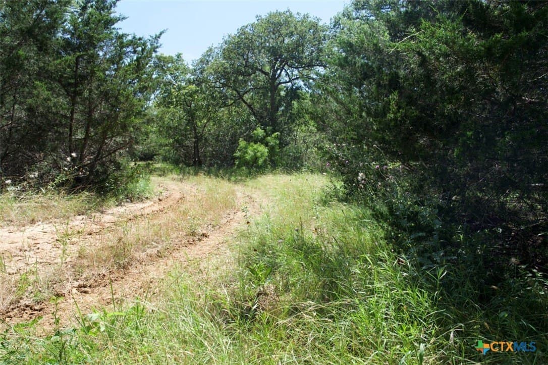 313 acres in Caldwell County - photo 26