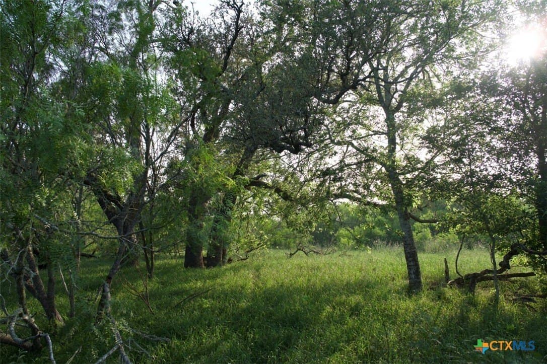 313 acres in Caldwell County - photo 9