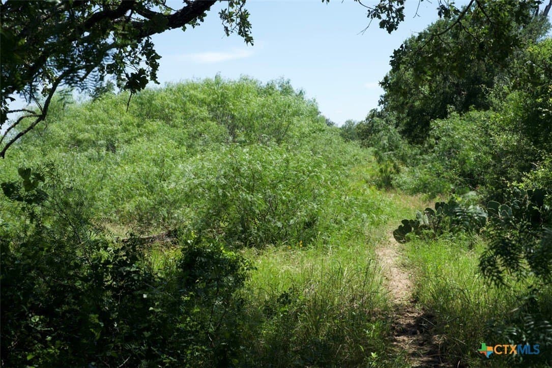 313 acres in Caldwell County - photo 23