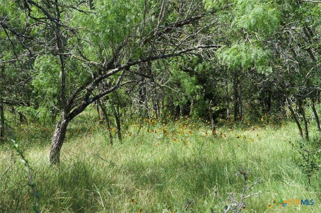 313 acres in Caldwell County - photo 12