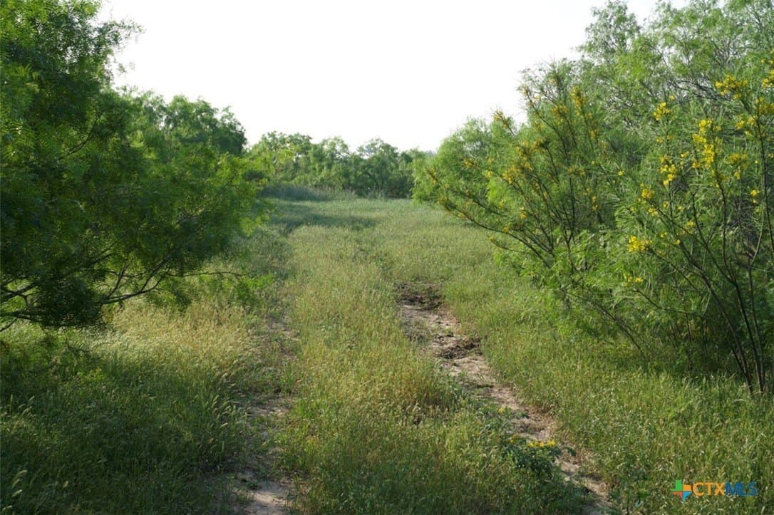 313 acres in Caldwell County - photo 3