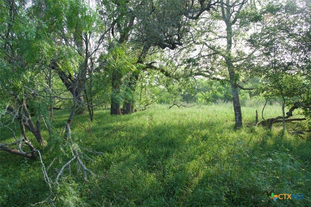 313 acres in Caldwell County - photo 4