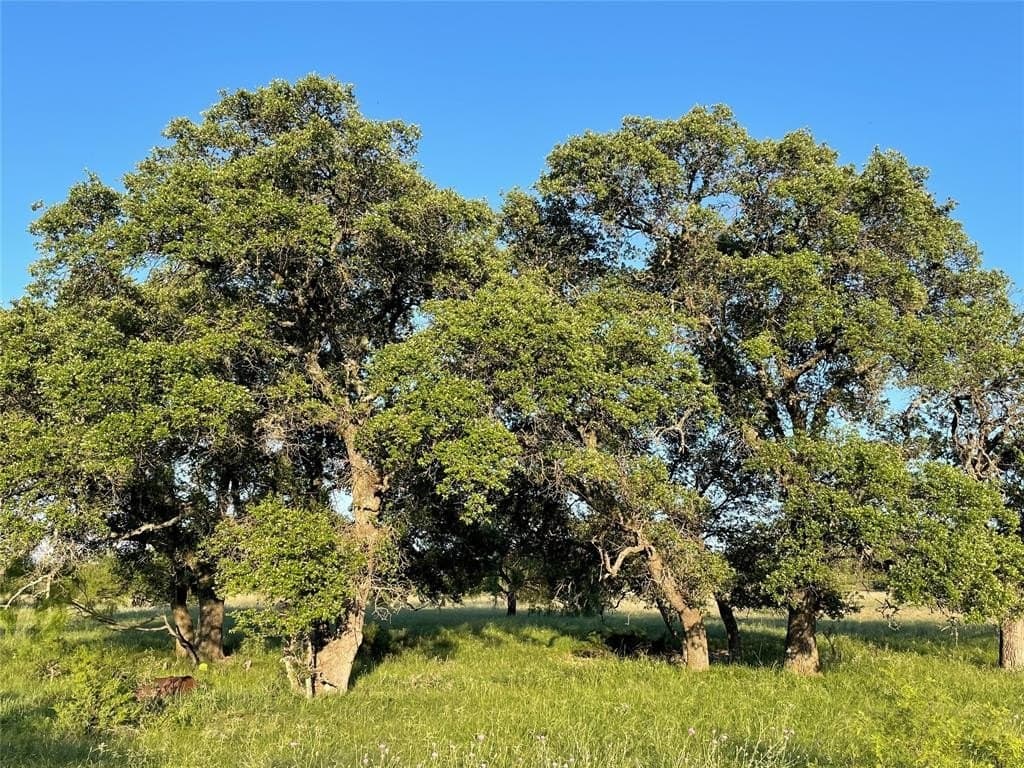 200 acres in Mills County - photo 13