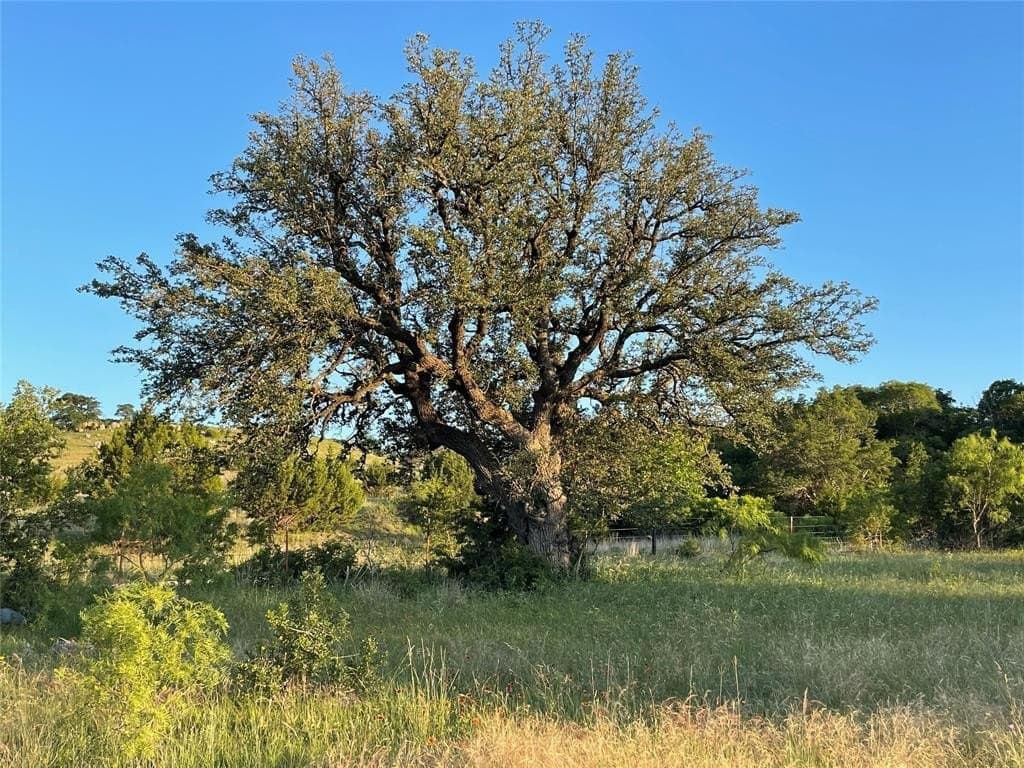 200 acres in Mills County - photo 11