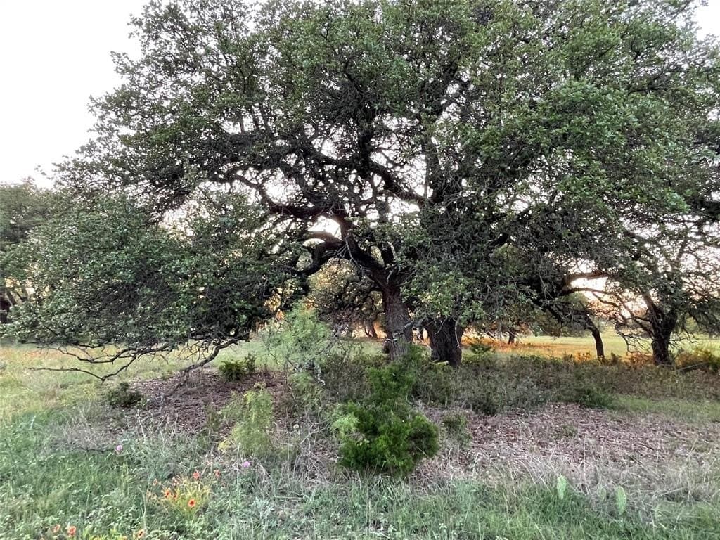 200 acres in Mills County - photo 18