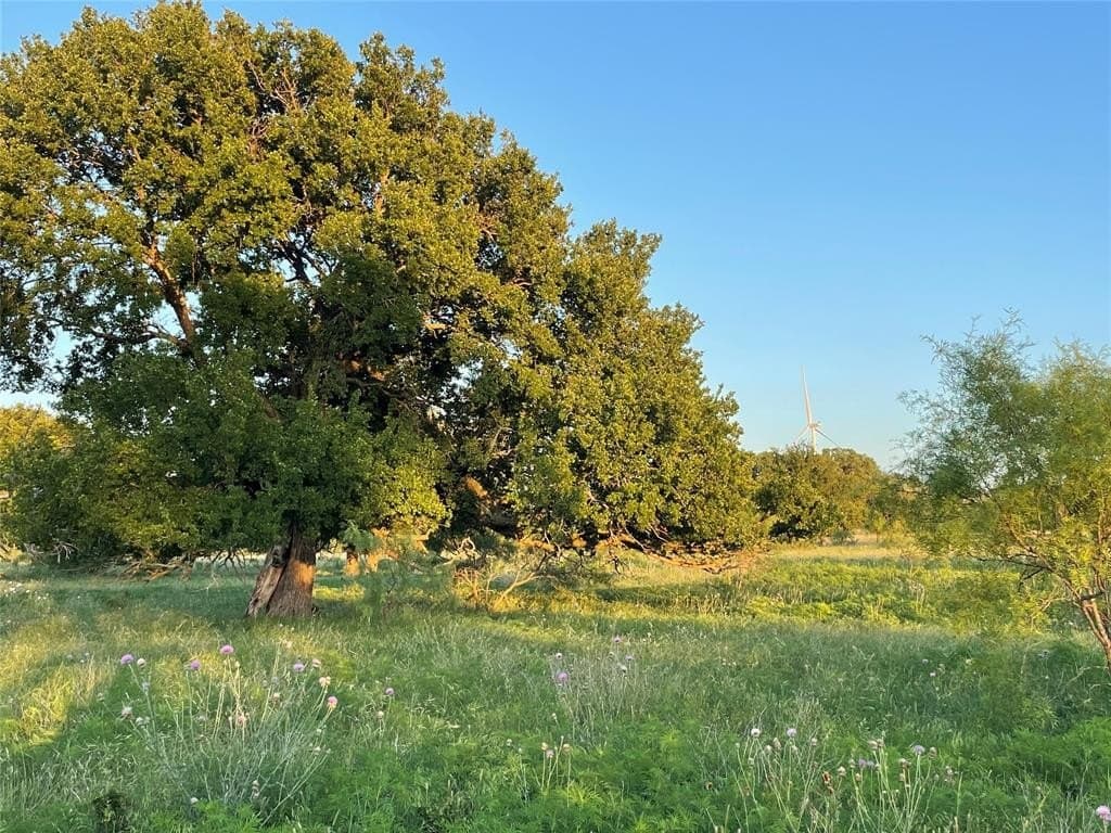 200 acres in Mills County - photo 16