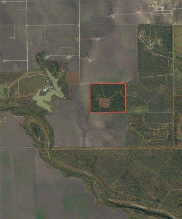 76.7 acres in Nueces County - photo 3