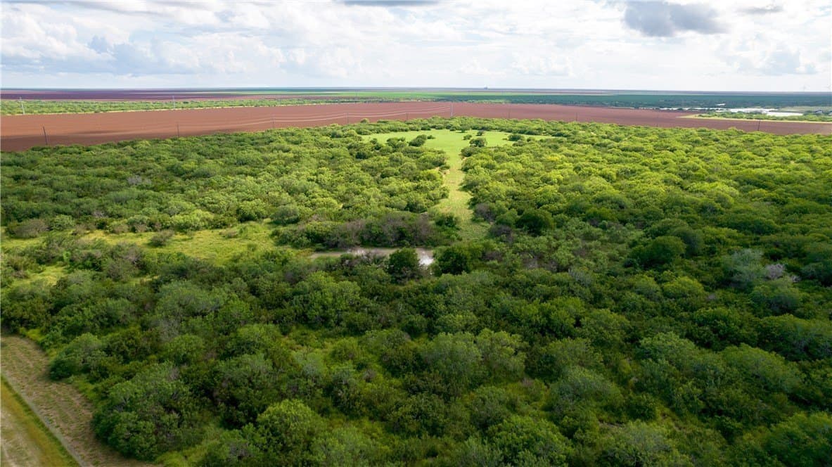 76.7 acres in Nueces County - photo 2