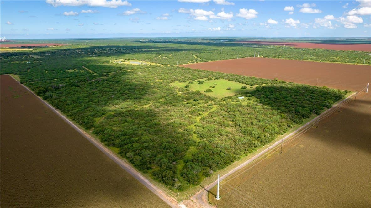 76.7 acres in Nueces County - photo 8