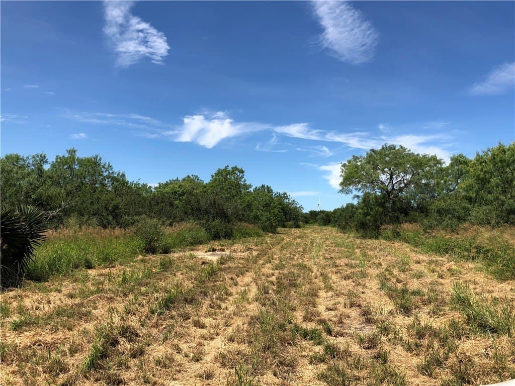 76.7 acres in Nueces County - photo 25