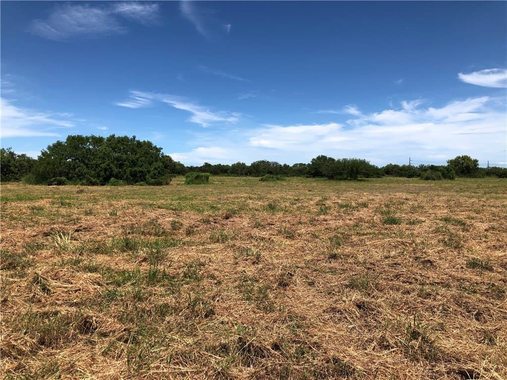76.7 acres in Nueces County - photo 23