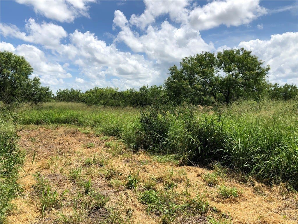 76.7 acres in Nueces County - photo 21