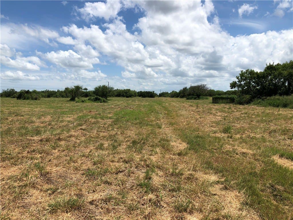 76.7 acres in Nueces County - photo 19