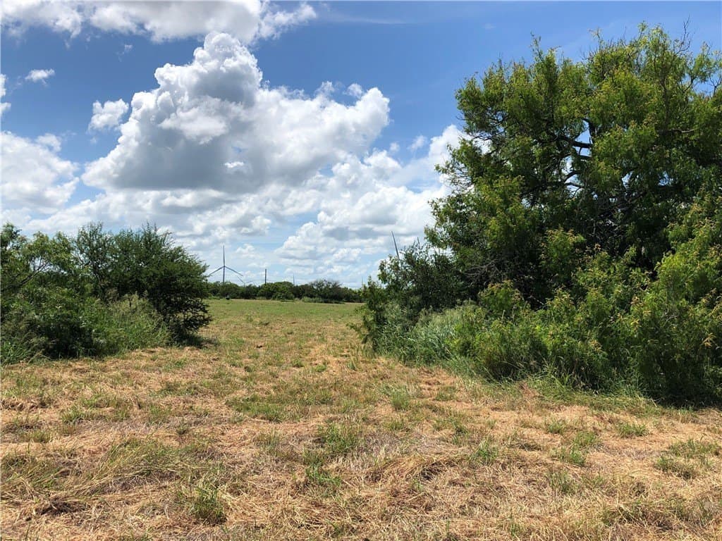 76.7 acres in Nueces County - photo 24
