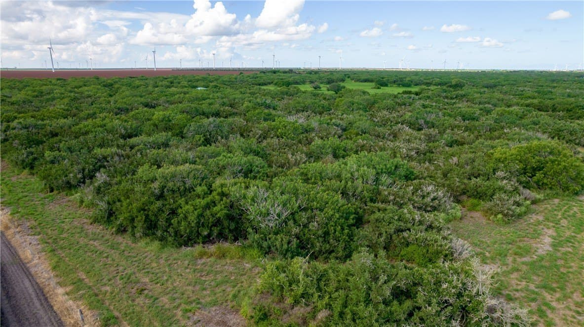 76.7 acres in Nueces County - photo 5