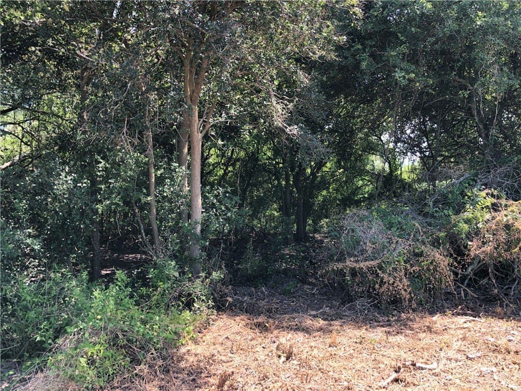 76.7 acres in Nueces County - photo 32
