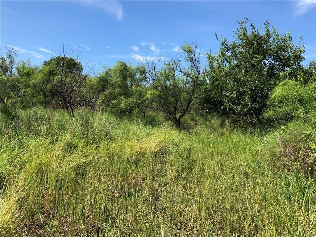 76.7 acres in Nueces County - photo 15
