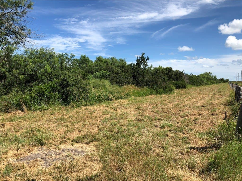 76.7 acres in Nueces County - photo 10