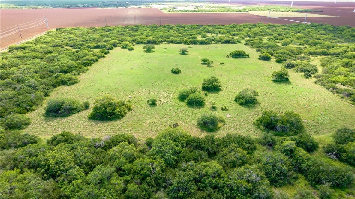 76.7 acres in Nueces County - photo 7