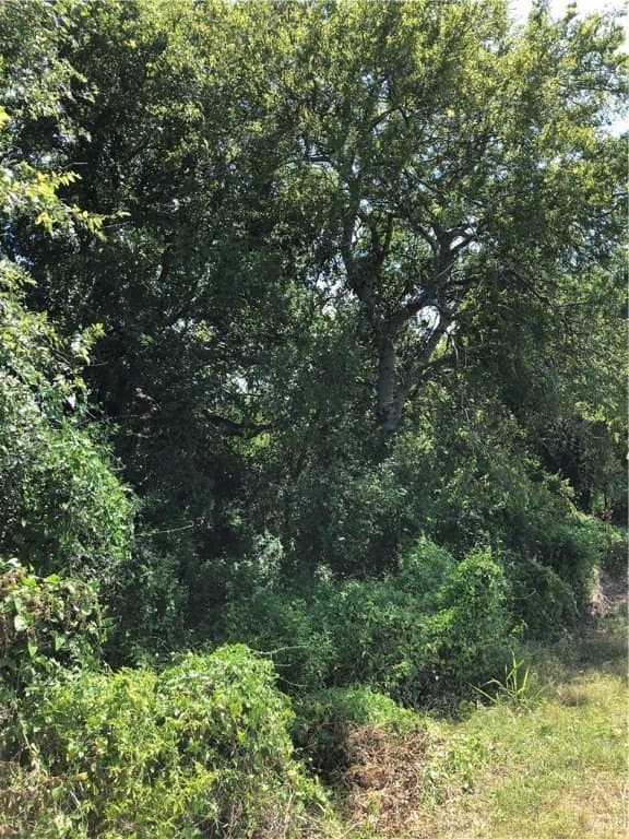 76.7 acres in Nueces County - photo 36