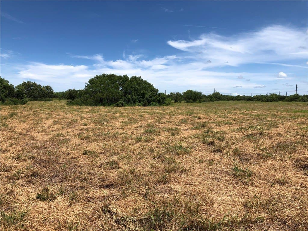 76.7 acres in Nueces County - photo 20