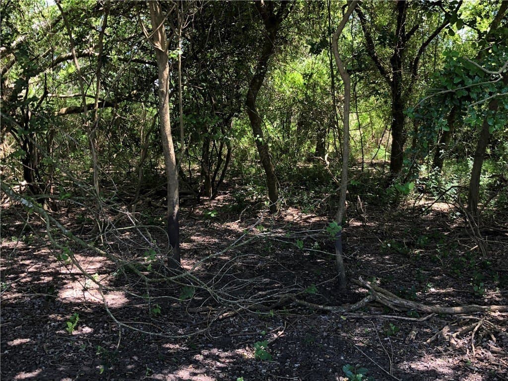 76.7 acres in Nueces County - photo 31