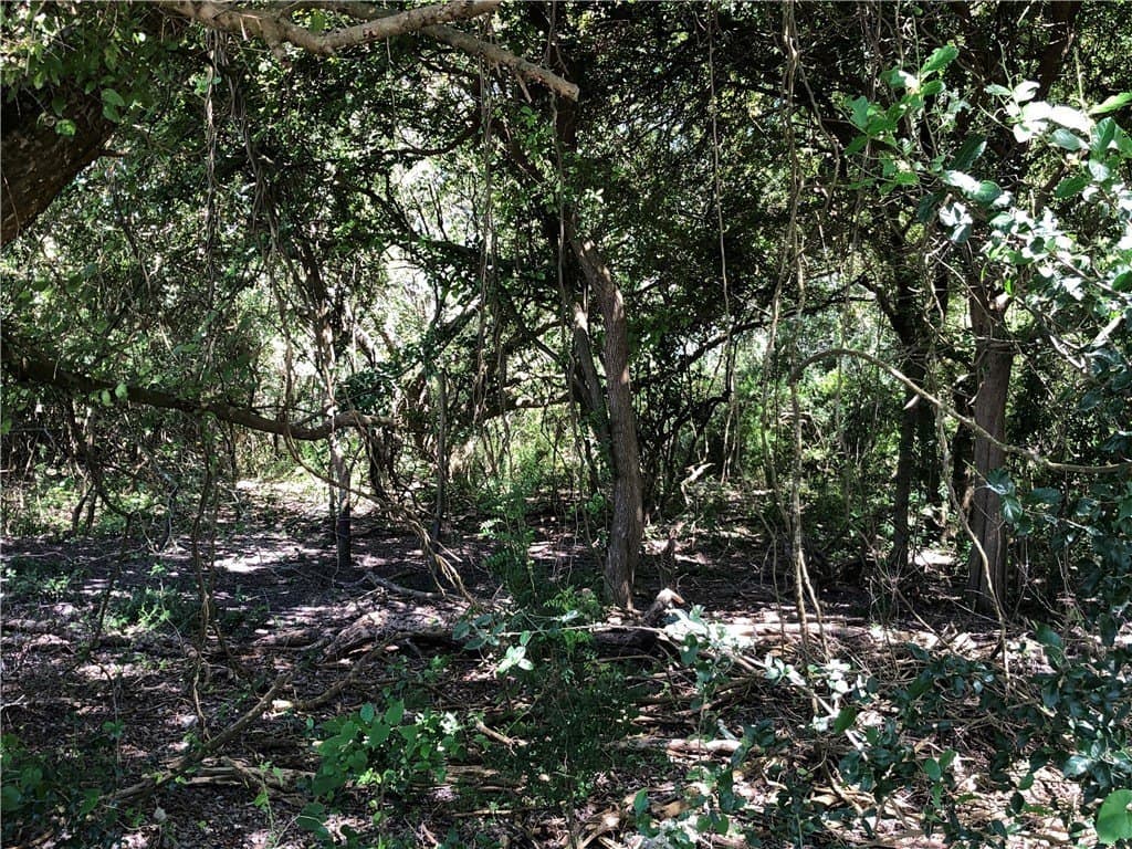 76.7 acres in Nueces County - photo 30