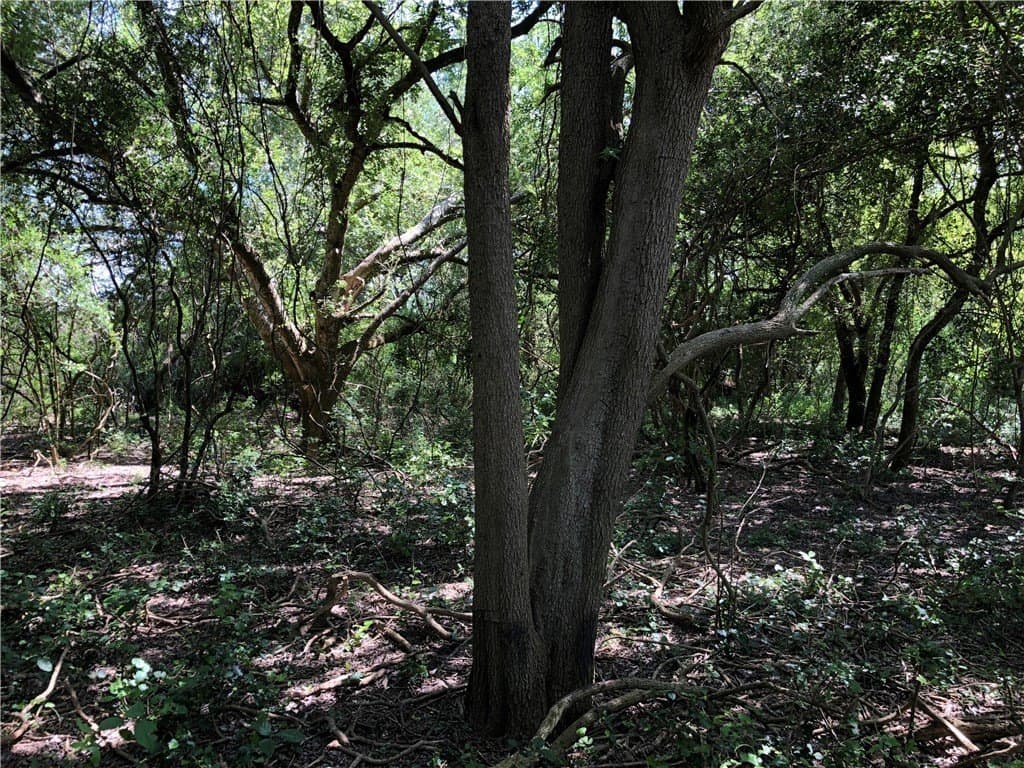 76.7 acres in Nueces County - photo 29